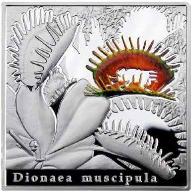 1 $, Osobliwości natury - Muchołówka, 2010