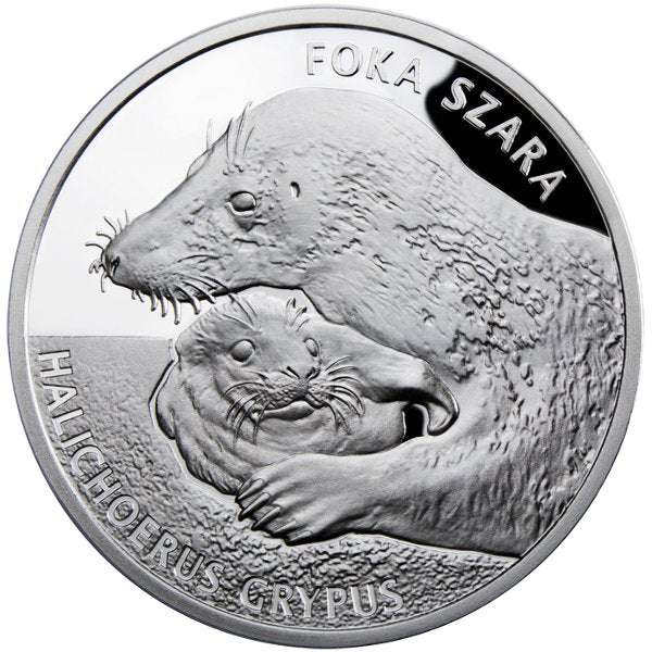 Kolekcja Młode Zwierzęta - Foka szara, 2012