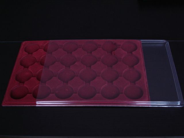 Paleta na 24 monety o nominale 20 zł