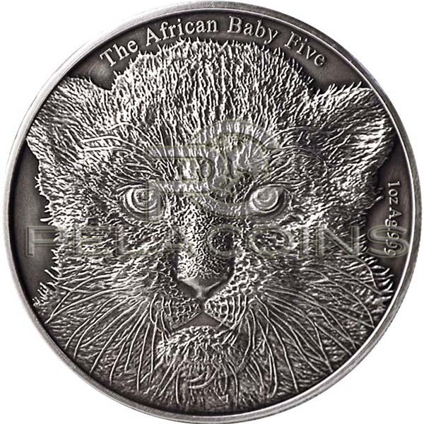 Burundi 2014 5000 Francs The African Baby Five - Baby Leopard Antique finish