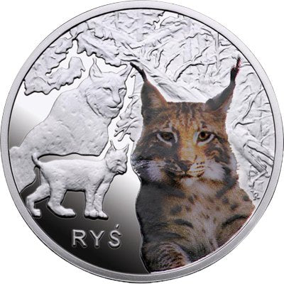 Kolekcja Symbole Przyrody - Ryś