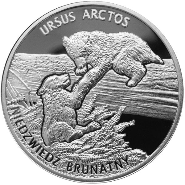 Kolekcja Młode Zwierzęta - Niedźwiedź brunatny, 2013