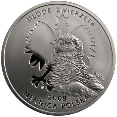 Kolekcja Młode Zwierzęta - Jaszczurka zielona (Lacerta viridis), 2009