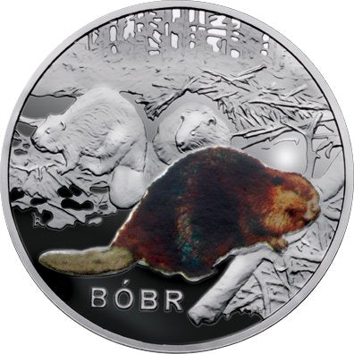 Kolekcja Symbole Przyrody - Bóbr