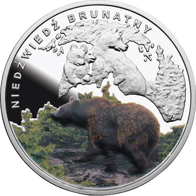 Kolekcja Symbole Przyrody - Niedźwiedź brunatny