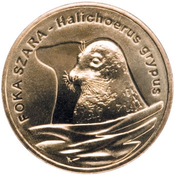 2 zł, Zwierzęta świata - Foka szara (łac. Halichoerus grypus), 2007